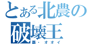 とある北農の破壊王（覇・オオイ）