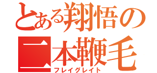 とある翔悟の二本鞭毛（フレイグレイト）