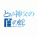 とある神父の白の蛇（ホワイトスネイク）