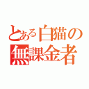 とある白猫の無課金者（）