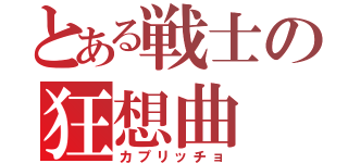 とある戦士の狂想曲（カプリッチョ）