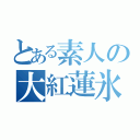 とある素人の大紅蓮氷輪丸（）