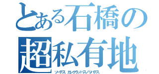 とある石橋の超私有地（ソーデス、カンクラノバスノリバデス。）