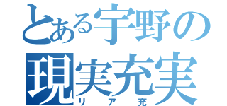 とある宇野の現実充実（リア充）