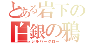 とある岩下の白銀の鴉（シルバークロー）