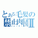 とある毛髪の禁止肉団Ⅱ（ジョーター）