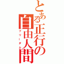 とある正行の自由人間（フリーダム）