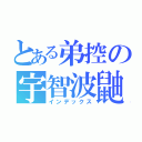 とある弟控の宇智波鼬（インデックス）