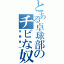 とある卓球部のチビな奴（佐藤秀一）