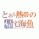 とある熱帯の帰宅海魚（ただいマンボウ）