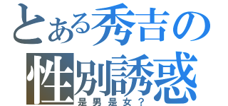 とある秀吉の性別誘惑（是男是女？）