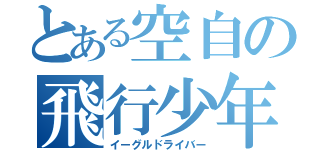 とある空自の飛行少年（イーグルドライバー）