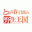 とある春日部の野生王国（アビテックス）