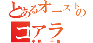 とあるオーストラリアのコアラ（小原 千都）