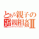 とある親子の近親相姦Ⅱ（オヤコナカヨシ）