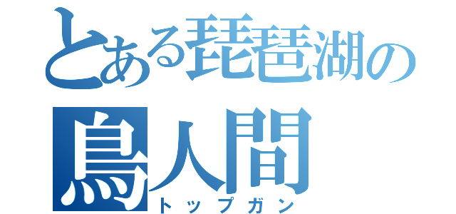 とある琵琶湖の鳥人間（トップガン）