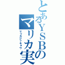 とあるＹＳＢのマリカ実況（マリカジッキョウ）