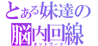 とある妹達の脳内回線（ネットワーク）