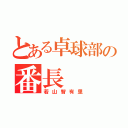 とある卓球部の番長（若山智有里）