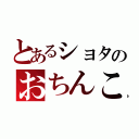 とあるショタのおちんこ（）