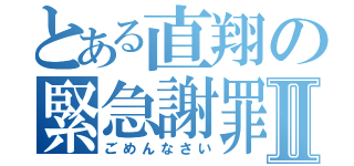 とある直翔の緊急謝罪Ⅱ（ごめんなさい）