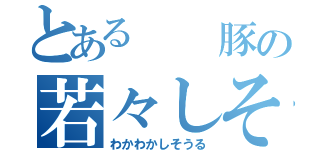 とある  豚の若々しそうる（わかわかしそうる）