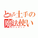 とある土手の魔法使い（プリキュア）