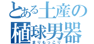 とある土産の植球男器（まりもっこり）