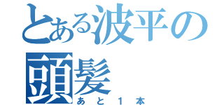 とある波平の頭髪（あと１本）