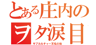 とある庄内のヲタ涙目（サブカルチャー不毛の地）