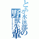 とある水泳部の野獣先輩（サイクロップス）