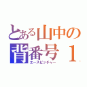 とある山中の背番号１（エースピッチャー）