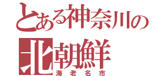 とある神奈川の北朝鮮（海老名市）