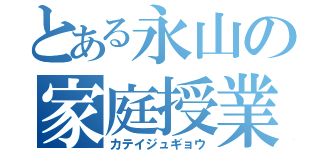 とある永山の家庭授業（カテイジュギョウ）