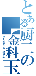 とある厨二の【金科玉条】（きんたまじゃねぇよ）