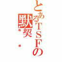 とあるＴＳＦの默契（彪悍）