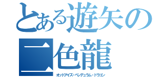 とある遊矢の二色龍（オッドアイズ・ペンデュラム・ドラゴン）