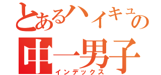 とあるハイキュー好きの中一男子（インデックス）