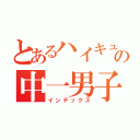 とあるハイキュー好きの中一男子（インデックス）