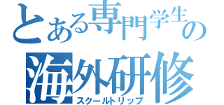 とある専門学生の海外研修（スクールトリップ）