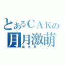 とあるＣＡＫの月月激萌（山水奥义）