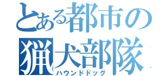 とある都市の猟犬部隊（ハウンドドッグ）