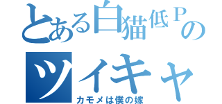 とある白猫低ＰＳ者のツイキャス（カモメは僕の嫁）