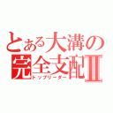 とある大溝の完全支配Ⅱ（トップリーダー）