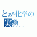 とある化学の実験（レジュメ）