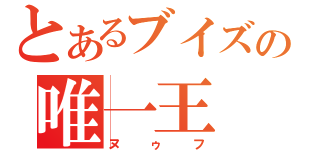 とあるブイズの唯一王（ヌゥフ）