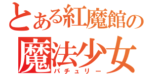 とある紅魔館の魔法少女（パチュリー）