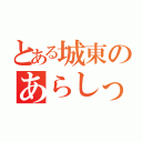 とある城東のあらしっく（）