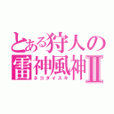 とある狩人の雷神風神Ⅱ（ネコダイスキ）