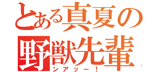 とある真夏の野獣先輩（ンアッー！）